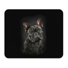 Коврик для мышки прямоугольный с принтом Французский бульдог в Санкт-Петербурге, натуральный каучук | размер 230 х 185 мм; запечатка лицевой стороны | animal | background | beast | black | breed | bulldog | cool | cute | dog | ears | french | jaw | look | muzzle | portrait | wool | бульдог | взгляд | животное | зверь | милый | пёс | порода | портрет | прикольно | псина | собака | уши | фон | фра