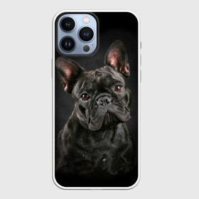 Чехол для iPhone 13 Pro Max с принтом Французский бульдог в Санкт-Петербурге,  |  | animal | background | beast | black | breed | bulldog | cool | cute | dog | ears | french | jaw | look | muzzle | portrait | wool | бульдог | взгляд | животное | зверь | милый | пёс | порода | портрет | прикольно | псина | собака | уши | фон | фра