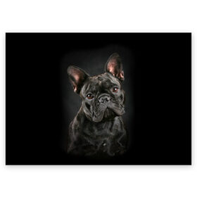 Поздравительная открытка с принтом Французский бульдог в Санкт-Петербурге, 100% бумага | плотность бумаги 280 г/м2, матовая, на обратной стороне линовка и место для марки
 | animal | background | beast | black | breed | bulldog | cool | cute | dog | ears | french | jaw | look | muzzle | portrait | wool | бульдог | взгляд | животное | зверь | милый | пёс | порода | портрет | прикольно | псина | собака | уши | фон | фра