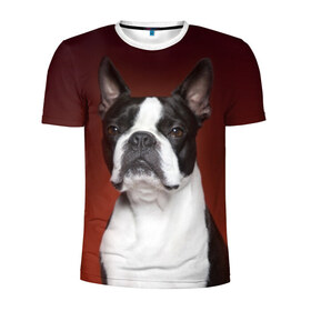 Мужская футболка 3D спортивная с принтом Французский бульдог в Санкт-Петербурге, 100% полиэстер с улучшенными характеристиками | приталенный силуэт, круглая горловина, широкие плечи, сужается к линии бедра | animal | background | beast | black | breed | bulldog | color | cool | cute | dog | e | jaw | look | muzzle | portrait | red | white | белый | бульдог | взгляд | животное | зверь | красный | милый | пёс | порода | портрет | прикольно | псина | соб