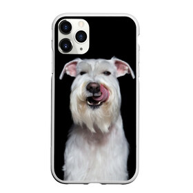 Чехол для iPhone 11 Pro матовый с принтом Белый шнауцер в Санкт-Петербурге, Силикон |  | animal | background | beast | black | breed | cool | cute | dog | ears | fangs | jaw | look | muzzle | portrait | tongue | white | wool | белый | взгляд | животное | зверь | клыки | милый | пёс | порода | портрет | прикольно | псина | собака | уши