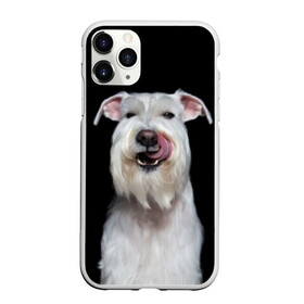 Чехол для iPhone 11 Pro Max матовый с принтом Белый шнауцер в Санкт-Петербурге, Силикон |  | animal | background | beast | black | breed | cool | cute | dog | ears | fangs | jaw | look | muzzle | portrait | tongue | white | wool | белый | взгляд | животное | зверь | клыки | милый | пёс | порода | портрет | прикольно | псина | собака | уши
