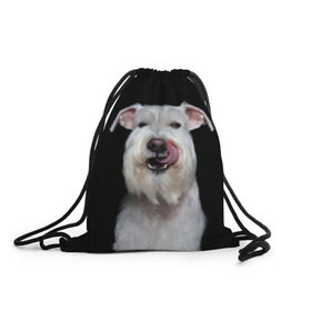 Рюкзак-мешок 3D с принтом Белый шнауцер в Санкт-Петербурге, 100% полиэстер | плотность ткани — 200 г/м2, размер — 35 х 45 см; лямки — толстые шнурки, застежка на шнуровке, без карманов и подкладки | animal | background | beast | black | breed | cool | cute | dog | ears | fangs | jaw | look | muzzle | portrait | tongue | white | wool | белый | взгляд | животное | зверь | клыки | милый | пёс | порода | портрет | прикольно | псина | собака | уши