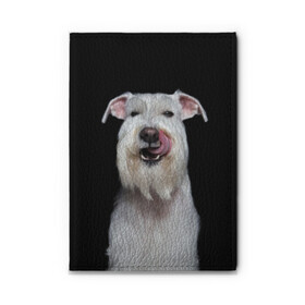 Обложка для автодокументов с принтом Белый шнауцер в Санкт-Петербурге, натуральная кожа |  размер 19,9*13 см; внутри 4 больших “конверта” для документов и один маленький отдел — туда идеально встанут права | animal | background | beast | black | breed | cool | cute | dog | ears | fangs | jaw | look | muzzle | portrait | tongue | white | wool | белый | взгляд | животное | зверь | клыки | милый | пёс | порода | портрет | прикольно | псина | собака | уши