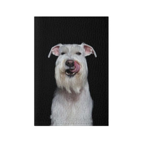 Обложка для паспорта матовая кожа с принтом Белый шнауцер в Санкт-Петербурге, натуральная матовая кожа | размер 19,3 х 13,7 см; прозрачные пластиковые крепления | Тематика изображения на принте: animal | background | beast | black | breed | cool | cute | dog | ears | fangs | jaw | look | muzzle | portrait | tongue | white | wool | белый | взгляд | животное | зверь | клыки | милый | пёс | порода | портрет | прикольно | псина | собака | уши