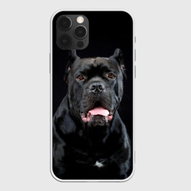 Чехол для iPhone 12 Pro Max с принтом Черный кан - корсо в Санкт-Петербурге, Силикон |  | animal | background | beast | black | breed | can   corso | cool | cute | dog | ears | fangs | jaw | look | muzzle | portrait | tongue | wool | взгляд | животное | зверь | кан   корсо | клыки | милый | пёс | порода | портрет | прикольно | псина | 