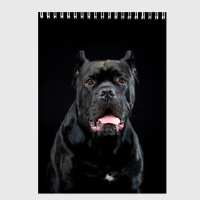 Скетчбук с принтом Черный кан - корсо в Санкт-Петербурге, 100% бумага
 | 48 листов, плотность листов — 100 г/м2, плотность картонной обложки — 250 г/м2. Листы скреплены сверху удобной пружинной спиралью | Тематика изображения на принте: animal | background | beast | black | breed | can   corso | cool | cute | dog | ears | fangs | jaw | look | muzzle | portrait | tongue | wool | взгляд | животное | зверь | кан   корсо | клыки | милый | пёс | порода | портрет | прикольно | псина | 