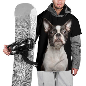 Накидка на куртку 3D с принтом Бостонский терьер в Санкт-Петербурге, 100% полиэстер |  | Тематика изображения на принте: animal | background | beast | black | boston | breed | color | cool | cute | dog | ears | jaw | look | muzzle | pet | portrait | terrier | white | wool | белый | бостон | взгляд | животное | зверь | милый | пёс | питомец | порода | портрет | прико