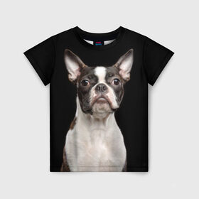 Детская футболка 3D с принтом Бостонский терьер в Санкт-Петербурге, 100% гипоаллергенный полиэфир | прямой крой, круглый вырез горловины, длина до линии бедер, чуть спущенное плечо, ткань немного тянется | animal | background | beast | black | boston | breed | color | cool | cute | dog | ears | jaw | look | muzzle | pet | portrait | terrier | white | wool | белый | бостон | взгляд | животное | зверь | милый | пёс | питомец | порода | портрет | прико
