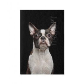 Обложка для паспорта матовая кожа с принтом Бостонский терьер в Санкт-Петербурге, натуральная матовая кожа | размер 19,3 х 13,7 см; прозрачные пластиковые крепления | Тематика изображения на принте: animal | background | beast | black | boston | breed | color | cool | cute | dog | ears | jaw | look | muzzle | pet | portrait | terrier | white | wool | белый | бостон | взгляд | животное | зверь | милый | пёс | питомец | порода | портрет | прико