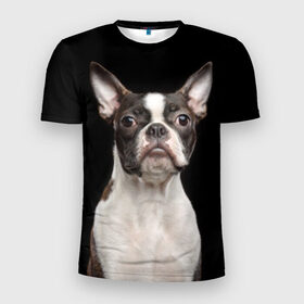 Мужская футболка 3D спортивная с принтом Бостонский терьер в Санкт-Петербурге, 100% полиэстер с улучшенными характеристиками | приталенный силуэт, круглая горловина, широкие плечи, сужается к линии бедра | animal | background | beast | black | boston | breed | color | cool | cute | dog | ears | jaw | look | muzzle | pet | portrait | terrier | white | wool | белый | бостон | взгляд | животное | зверь | милый | пёс | питомец | порода | портрет | прико