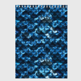 Скетчбук с принтом Синяя чешуя в Санкт-Петербурге, 100% бумага
 | 48 листов, плотность листов — 100 г/м2, плотность картонной обложки — 250 г/м2. Листы скреплены сверху удобной пружинной спиралью | Тематика изображения на принте: blue | color | fish | gray | mermaid | neyad | pattern | scales | sea | shiny | siren | skin | turquoise | wallpaper | water | бирюзовый | блестящий | вода | кожа | море | неяда | обои | паттерн | русалка | рыба | серый | синий | сирена | цвет |