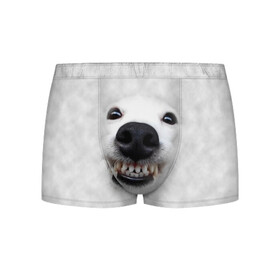 Мужские трусы 3D с принтом Собака - улыбака в Санкт-Петербурге, 50% хлопок, 50% полиэстер | классическая посадка, на поясе мягкая тканевая резинка | животные | зубы | мордочка | пес | прикол | смешная | собака | улыбака | улыбка | щенок | юмор