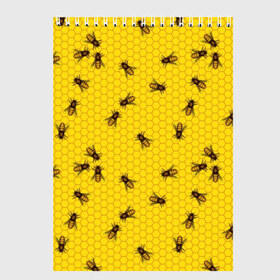 Скетчбук с принтом Пчелы в сотах в Санкт-Петербурге, 100% бумага
 | 48 листов, плотность листов — 100 г/м2, плотность картонной обложки — 250 г/м2. Листы скреплены сверху удобной пружинной спиралью | bee | beehive | brown | bug | honey | honeycomb | insect | toiler | yellow | букашка | желтый | коричневый | мёд | насекомое | пчела | соты | труженик | улей