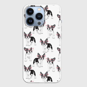Чехол для iPhone 13 Pro с принтом Французские бульдоги в очках в Санкт-Петербурге,  |  | black | breed | cool | cute | dog | french bulldog | pink | puppy | white | белый | мило | очки | пёс | порода | прикольный | псина | розовый | собака | французский бульдог | черный | щенок