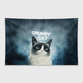 Флаг-баннер с принтом Grumpy Cat в Санкт-Петербурге, 100% полиэстер | размер 67 х 109 см, плотность ткани — 95 г/м2; по краям флага есть четыре люверса для крепления | кот | котики | коты | мем | мемы | сердитый кот