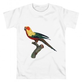 Мужская футболка хлопок с принтом Попугай. Аратинга. в Санкт-Петербурге, 100% хлопок | прямой крой, круглый вырез горловины, длина до линии бедер, слегка спущенное плечо. | аратинга | бразилия | зоозащита | попугаи | попугайчики | природа | птица | птицы | солнечный