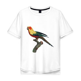 Мужская футболка хлопок Oversize с принтом Попугай. Аратинга. в Санкт-Петербурге, 100% хлопок | свободный крой, круглый ворот, “спинка” длиннее передней части | аратинга | бразилия | зоозащита | попугаи | попугайчики | природа | птица | птицы | солнечный