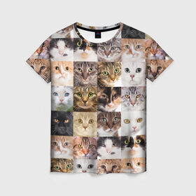 Женская футболка 3D с принтом Кошачий коллаж в Санкт-Петербурге, 100% полиэфир ( синтетическое хлопкоподобное полотно) | прямой крой, круглый вырез горловины, длина до линии бедер | breed | cat | cats | collage | eyes | fluffy | funny | kitten | look | meow | mustache | muzzle | photo | squares | взгляд | глаза | квадраты | коллаж | кот | котёнок | котики | кошка | мяу | порода | прикольный | пушистый | усы | фото