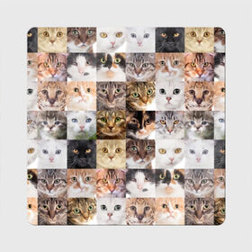 Магнит виниловый Квадрат с принтом Кошачий коллаж в Санкт-Петербурге, полимерный материал с магнитным слоем | размер 9*9 см, закругленные углы | Тематика изображения на принте: breed | cat | cats | collage | eyes | fluffy | funny | kitten | look | meow | mustache | muzzle | photo | squares | взгляд | глаза | квадраты | коллаж | кот | котёнок | котики | кошка | мяу | порода | прикольный | пушистый | усы | фото