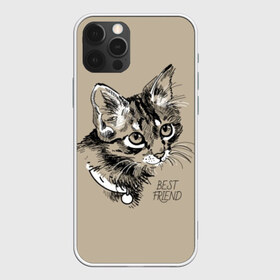 Чехол для iPhone 12 Pro Max с принтом Best friend в Санкт-Петербурге, Силикон |  | attractive face | cat | collar | cute | drawing | funny | kitten | mustache | touching | забавный | кот | котёнок | милый | ошейник | рисунок | трогательный | усы