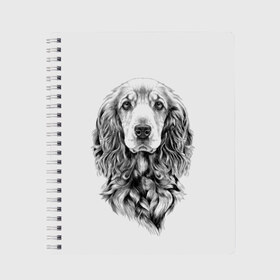 Тетрадь с принтом Кокер спаниель в Санкт-Петербурге, 100% бумага | 48 листов, плотность листов — 60 г/м2, плотность картонной обложки — 250 г/м2. Листы скреплены сбоку удобной пружинной спиралью. Уголки страниц и обложки скругленные. Цвет линий — светло-серый
 | animal | black | breed | cocker spaniel | cool | dog | eyes | interesting | look | muzzle | white | wool | белый | взгляд | глаза | животное | интересный | кокер спаниель | пёс | порода | прикольный | псина | собака | собакен | черный | шерсть