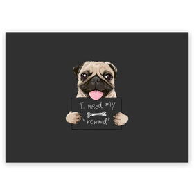 Поздравительная открытка с принтом I need my “reward” в Санкт-Петербурге, 100% бумага | плотность бумаги 280 г/м2, матовая, на обратной стороне линовка и место для марки
 | animal | breed | dog | eyes | funny | gray | look | muzzle | pug | slogan | text | взгляд | глаза | животное | забавный | мопс | порода | серый | слоган | собака | текст