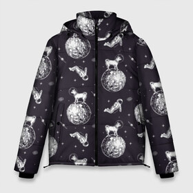 Мужская зимняя куртка 3D с принтом Собаки - астронавты в Санкт-Петербурге, верх — 100% полиэстер; подкладка — 100% полиэстер; утеплитель — 100% полиэстер | длина ниже бедра, свободный силуэт Оверсайз. Есть воротник-стойка, отстегивающийся капюшон и ветрозащитная планка. 

Боковые карманы с листочкой на кнопках и внутренний карман на молнии. | astronaut | black | breed | chihuahua | dog | flight | galaxy | helmet | planet | space | spacesuit | white | астронавт | белый | галактика | космос | пёс | планета | полёт | порода | скафандр | собака | черный | чихуахуа | шлем