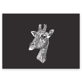 Поздравительная открытка с принтом Жираф в Санкт-Петербурге, 100% бумага | плотность бумаги 280 г/м2, матовая, на обратной стороне линовка и место для марки
 | animal | black | drawing | ethnic | eyes | giraffe | look | muzzle | pattern | safari | white | zendudl | белый | взгляд | глаза | животное | жираф | зендудл | рисунок | сафари | узор | черный | этнический