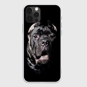 Чехол для iPhone 12 Pro Max с принтом Мастиф в Санкт-Петербурге, Силикон |  | animal | black | collar | dog | friend | look | man | muzzle | взгляд | друг | животное | мастиф | ошейник | пёс | собака | человека | черный