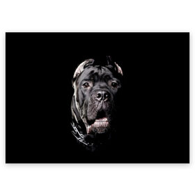 Поздравительная открытка с принтом Мастиф в Санкт-Петербурге, 100% бумага | плотность бумаги 280 г/м2, матовая, на обратной стороне линовка и место для марки
 | Тематика изображения на принте: animal | black | collar | dog | friend | look | man | muzzle | взгляд | друг | животное | мастиф | ошейник | пёс | собака | человека | черный