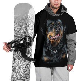 Накидка на куртку 3D с принтом Ротвейлер в Санкт-Петербурге, 100% полиэстер |  | animal | black | breed | collar | dog | friend | glance | gloss | man | muzzle | rottweiler | взгляд | друг | животное | лоск | ошейник | пёс | порода | ротвейлер | собака | человека | черный