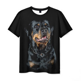 Мужская футболка 3D с принтом Ротвейлер в Санкт-Петербурге, 100% полиэфир | прямой крой, круглый вырез горловины, длина до линии бедер | animal | black | breed | collar | dog | friend | glance | gloss | man | muzzle | rottweiler | взгляд | друг | животное | лоск | ошейник | пёс | порода | ротвейлер | собака | человека | черный