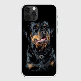 Чехол для iPhone 12 Pro Max с принтом Ротвейлер в Санкт-Петербурге, Силикон |  | animal | black | breed | collar | dog | friend | glance | gloss | man | muzzle | rottweiler | взгляд | друг | животное | лоск | ошейник | пёс | порода | ротвейлер | собака | человека | черный