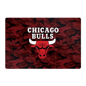 Магнитный плакат 3Х2 с принтом Chicago Bulls в Санкт-Петербурге, Полимерный материал с магнитным слоем | 6 деталей размером 9*9 см | Тематика изображения на принте: 