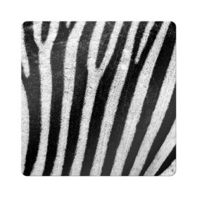 Магнит виниловый Квадрат с принтом Zebra Skin в Санкт-Петербурге, полимерный материал с магнитным слоем | размер 9*9 см, закругленные углы | Тематика изображения на принте: animal | black | black white | pattern. | skin | streaks | texture | white | zebra | белый | животное | животные | зебра | полосы | текстура | узор | чёрно белые | чёрный