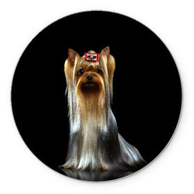Коврик для мышки круглый с принтом Йоркширский терьер в Санкт-Петербурге, резина и полиэстер | круглая форма, изображение наносится на всю лицевую часть | animal | barrette | breed | cute | dog | funny | muzzle | small | terrier | yorkshire | животное | забавный | заколка | йоркширский | маленький | милый | порода | смешной | собака | терьер