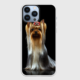 Чехол для iPhone 13 Pro Max с принтом Йоркширский терьер в Санкт-Петербурге,  |  | Тематика изображения на принте: animal | barrette | breed | cute | dog | funny | muzzle | small | terrier | yorkshire | животное | забавный | заколка | йоркширский | маленький | милый | порода | смешной | собака | терьер