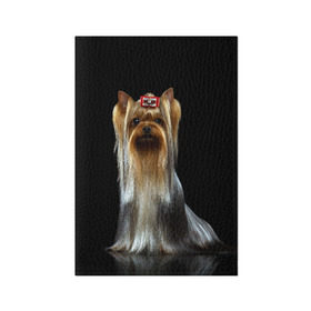 Обложка для паспорта матовая кожа с принтом Йоркширский терьер в Санкт-Петербурге, натуральная матовая кожа | размер 19,3 х 13,7 см; прозрачные пластиковые крепления | animal | barrette | breed | cute | dog | funny | muzzle | small | terrier | yorkshire | животное | забавный | заколка | йоркширский | маленький | милый | порода | смешной | собака | терьер