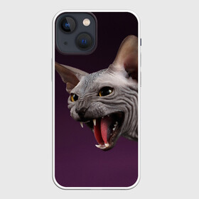 Чехол для iPhone 13 mini с принтом Сфинкс в Санкт-Петербурге,  |  | aggressive | angry | animal | bald | breed | cat | dangerous | fangs | gray | purple | sphinx | агрессивный | животное | злой | клыки | кот | лысый | опасный | порода | серый | сфинкс | фиолетовый