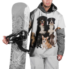 Накидка на куртку 3D с принтом Породистые собаки в Санкт-Петербурге, 100% полиэстер |  | Тематика изображения на принте: animal | bernese | breed | bulldog | corgi | cute | dog | french | funny | jack | labrador | mountain dog | muzzle | paws | pug | puppy | spaniel | бернский | бульдог | джек рассел | животное | забавный | зенненхунд | корги | лабрадор | лапы | милый