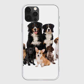 Чехол для iPhone 12 Pro Max с принтом Породистые собаки в Санкт-Петербурге, Силикон |  | animal | bernese | breed | bulldog | corgi | cute | dog | french | funny | jack | labrador | mountain dog | muzzle | paws | pug | puppy | spaniel | бернский | бульдог | джек рассел | животное | забавный | зенненхунд | корги | лабрадор | лапы | милый