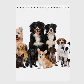 Скетчбук с принтом Породистые собаки в Санкт-Петербурге, 100% бумага
 | 48 листов, плотность листов — 100 г/м2, плотность картонной обложки — 250 г/м2. Листы скреплены сверху удобной пружинной спиралью | Тематика изображения на принте: animal | bernese | breed | bulldog | corgi | cute | dog | french | funny | jack | labrador | mountain dog | muzzle | paws | pug | puppy | spaniel | бернский | бульдог | джек рассел | животное | забавный | зенненхунд | корги | лабрадор | лапы | милый