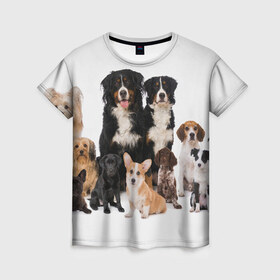 Женская футболка 3D с принтом Породистые собаки в Санкт-Петербурге, 100% полиэфир ( синтетическое хлопкоподобное полотно) | прямой крой, круглый вырез горловины, длина до линии бедер | animal | bernese | breed | bulldog | corgi | cute | dog | french | funny | jack | labrador | mountain dog | muzzle | paws | pug | puppy | spaniel | бернский | бульдог | джек рассел | животное | забавный | зенненхунд | корги | лабрадор | лапы | милый