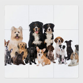 Магнитный плакат 3Х3 с принтом Породистые собаки в Санкт-Петербурге, Полимерный материал с магнитным слоем | 9 деталей размером 9*9 см | Тематика изображения на принте: animal | bernese | breed | bulldog | corgi | cute | dog | french | funny | jack | labrador | mountain dog | muzzle | paws | pug | puppy | spaniel | бернский | бульдог | джек рассел | животное | забавный | зенненхунд | корги | лабрадор | лапы | милый