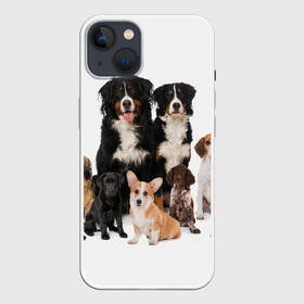 Чехол для iPhone 13 с принтом Породистые собаки в Санкт-Петербурге,  |  | animal | bernese | breed | bulldog | corgi | cute | dog | french | funny | jack | labrador | mountain dog | muzzle | paws | pug | puppy | spaniel | бернский | бульдог | джек рассел | животное | забавный | зенненхунд | корги | лабрадор | лапы | милый