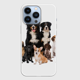 Чехол для iPhone 13 Pro с принтом Породистые собаки в Санкт-Петербурге,  |  | animal | bernese | breed | bulldog | corgi | cute | dog | french | funny | jack | labrador | mountain dog | muzzle | paws | pug | puppy | spaniel | бернский | бульдог | джек рассел | животное | забавный | зенненхунд | корги | лабрадор | лапы | милый