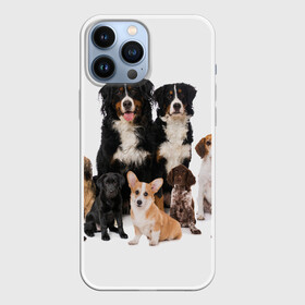 Чехол для iPhone 13 Pro Max с принтом Породистые собаки в Санкт-Петербурге,  |  | animal | bernese | breed | bulldog | corgi | cute | dog | french | funny | jack | labrador | mountain dog | muzzle | paws | pug | puppy | spaniel | бернский | бульдог | джек рассел | животное | забавный | зенненхунд | корги | лабрадор | лапы | милый