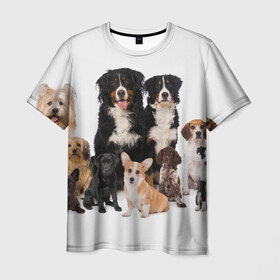 Мужская футболка 3D с принтом Породистые собаки в Санкт-Петербурге, 100% полиэфир | прямой крой, круглый вырез горловины, длина до линии бедер | animal | bernese | breed | bulldog | corgi | cute | dog | french | funny | jack | labrador | mountain dog | muzzle | paws | pug | puppy | spaniel | бернский | бульдог | джек рассел | животное | забавный | зенненхунд | корги | лабрадор | лапы | милый