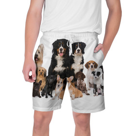 Мужские шорты 3D с принтом Породистые собаки в Санкт-Петербурге,  полиэстер 100% | прямой крой, два кармана без застежек по бокам. Мягкая трикотажная резинка на поясе, внутри которой широкие завязки. Длина чуть выше колен | animal | bernese | breed | bulldog | corgi | cute | dog | french | funny | jack | labrador | mountain dog | muzzle | paws | pug | puppy | spaniel | бернский | бульдог | джек рассел | животное | забавный | зенненхунд | корги | лабрадор | лапы | милый
